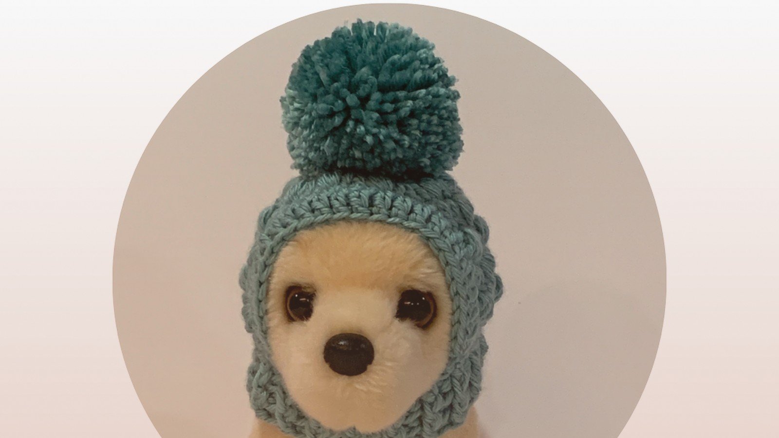 Dog Hat Crochet Pattern: Pet Beanie Tutorials