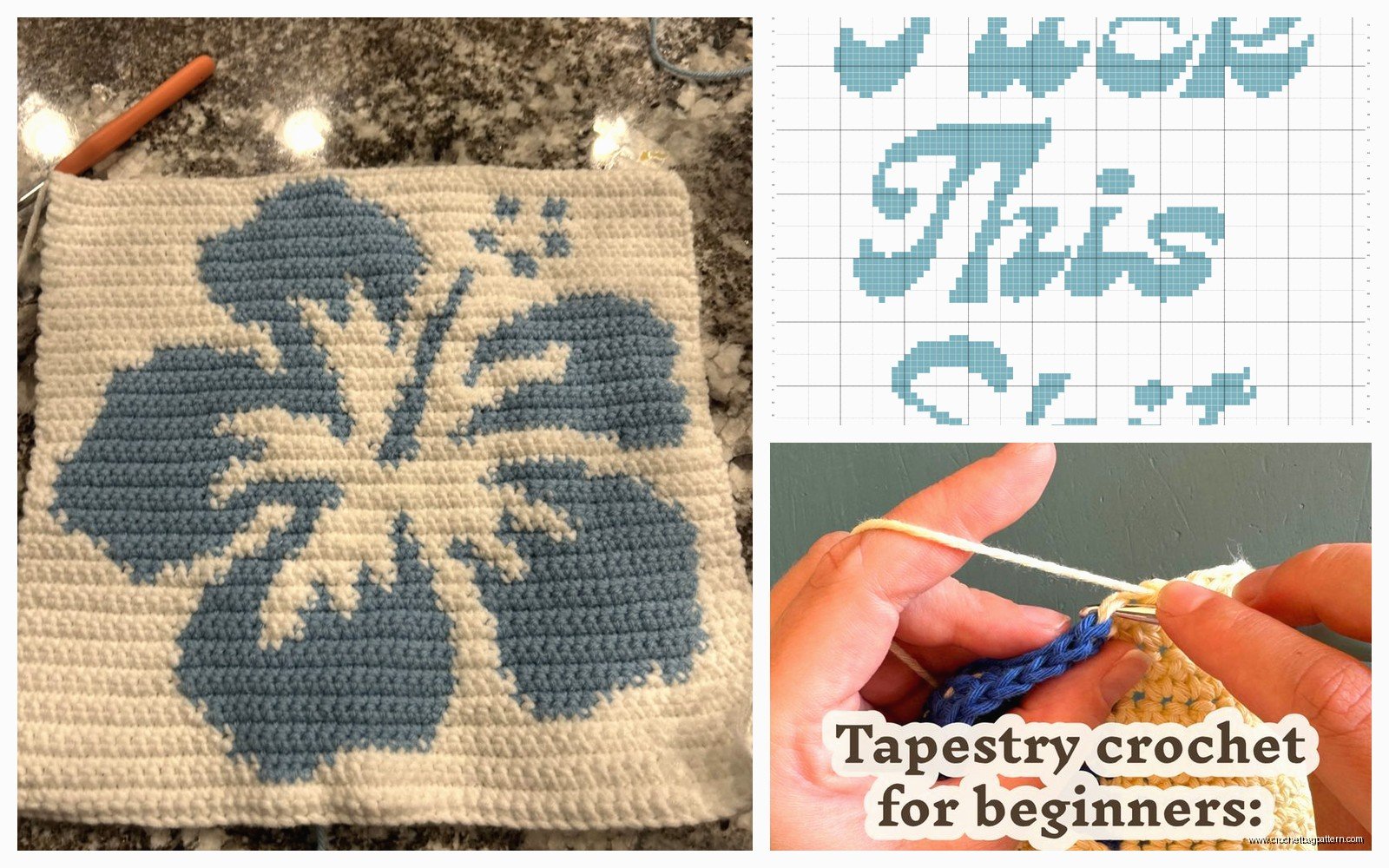 Tapestry Crochet Guide: Techniques Patterns & Tips