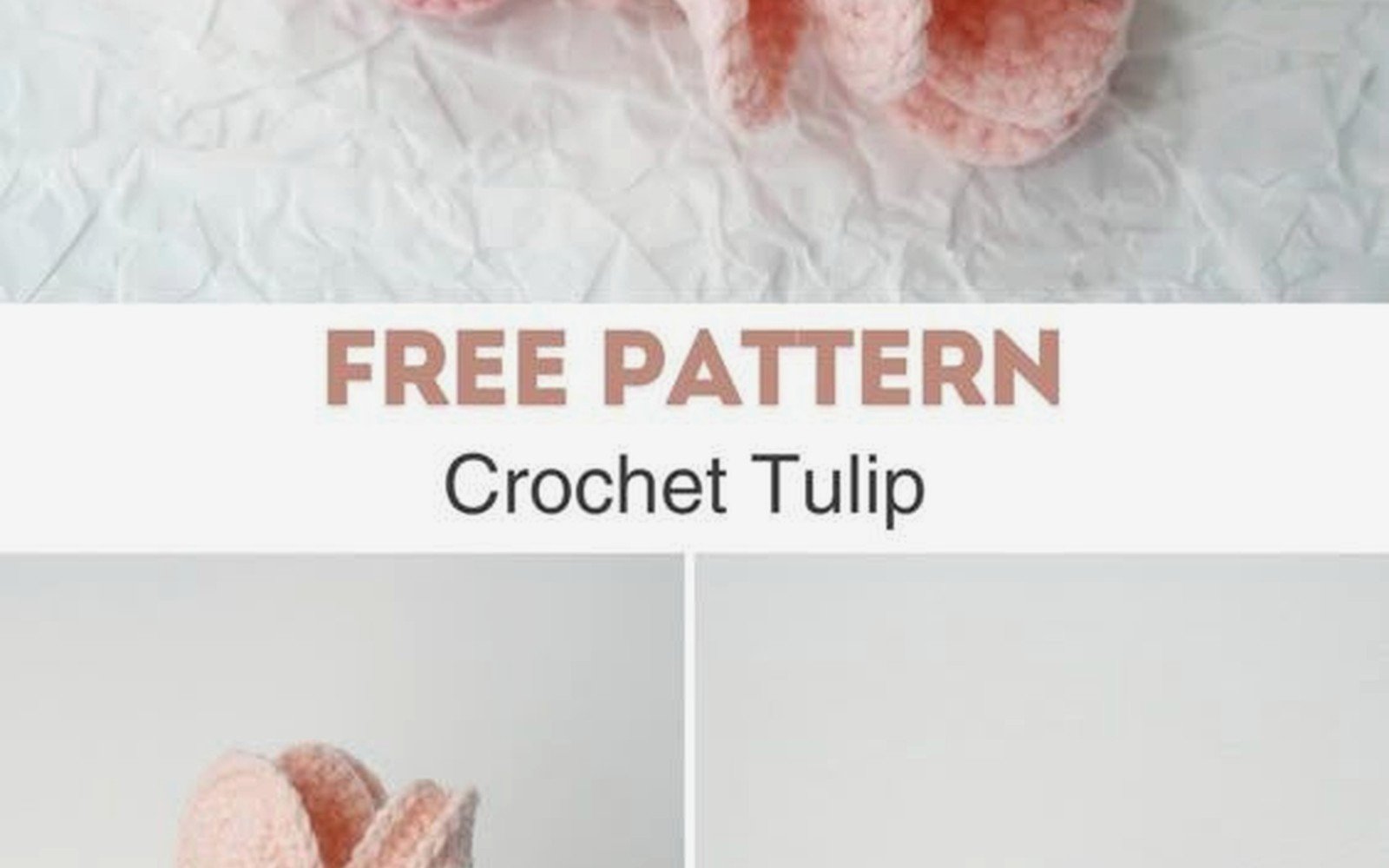 Tulip Crochet Hooks: Etimo Product Review & Guide