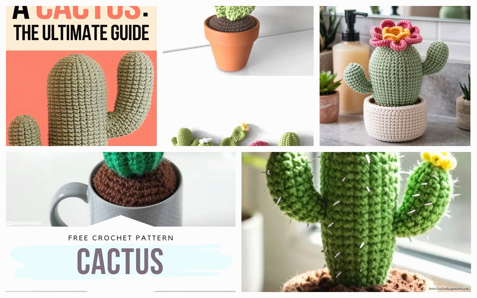 Free Crochet Cactus Pattern: Succulent Amigurumi